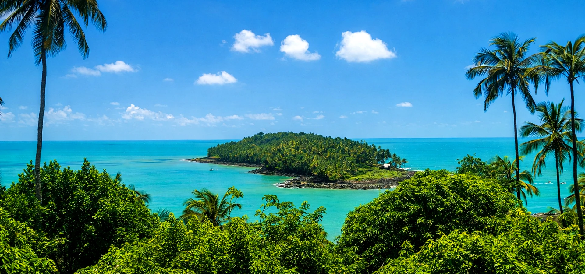 Vue des Îles du Salut à Kourou en Guyane avec mer turquoise et palmiers